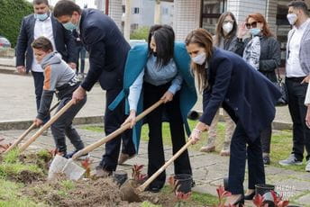 Dan planete u Budvi obilježen sadnjom hrasta, masline i žive ograde Dan planete u Budvi obilježen sadnjom hrasta, masline i žive ograde