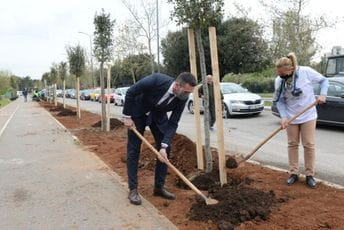 Novi drvored na Bulevaru Mihaila Lalića