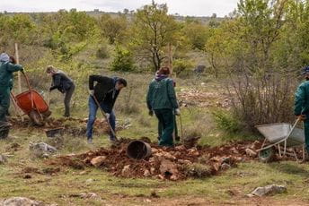 Završena akcija pošumljavanja dijela Malog brda