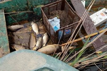 Novi pomaci u borbi protiv krivolova na Skadarskom jezeru Novi pomaci u borbi protiv krivolova na Skadarskom jezeru