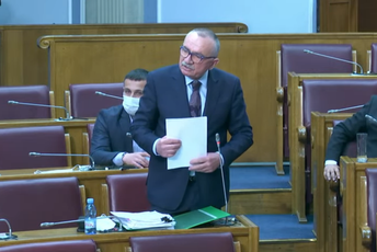 Zelena transverzala iz Brankovog malog mozga Zelena transverzala iz Brankovog malog mozga