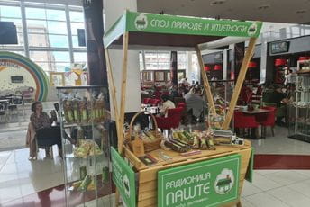 Tokom maja pored brenda Mika rawbeauty u Delti i radionica pašte Tokom maja pored brenda Mika rawbeauty u Delti i radionica pašte