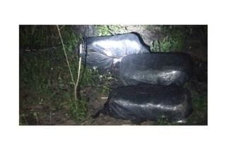 Spriječeno krijumčarenje 110 kilograma skanka Spriječeno krijumčarenje 110 kilograma skanka