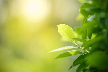 Budite li se na prvo zvono alarma? Budite li se na prvo zvono alarma?