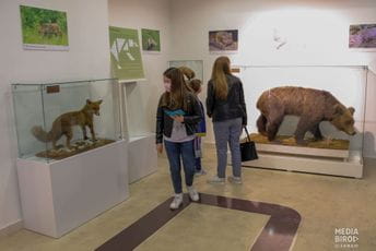 U Prirodnjačkom muzeju CG održana izložba povodom 25 godina od osnivanja U Prirodnjačkom muzeju CG održana izložba povodom 25 godina od osnivanja