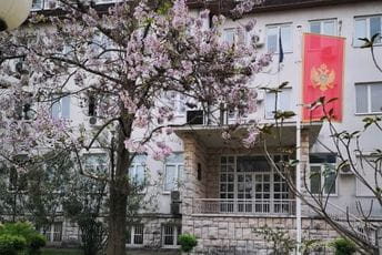 Novi program  ZZZCG: Pola miliona eura za  osposobljavanje odraslih