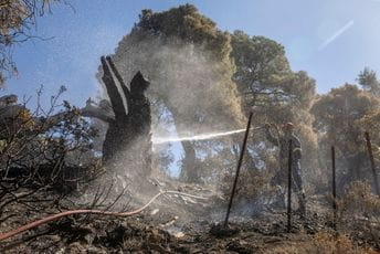 U pepeo pretvoreno 55 kvadratnih kilometara U pepeo pretvoreno 55 kvadratnih kilometara