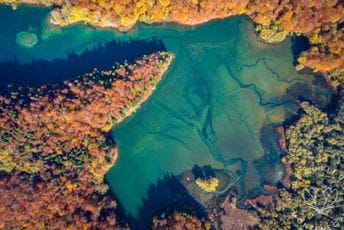 Naplaćivane ulaznice u nacionalnim parkovima za Dan nezavisnoti Biogradska gora