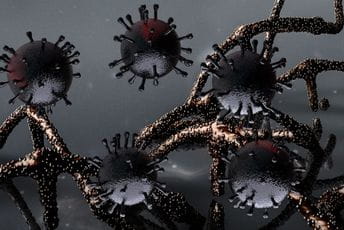 Nema kraja: Otkriven novi soj koronavirusa Nema kraja: Otkriven novi soj koronavirusa