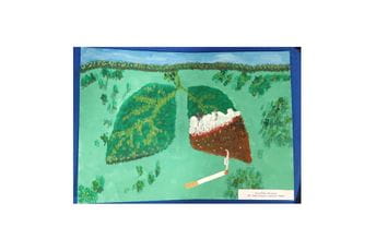 CDPR: Izložba najboljih likovnih radova sa Dvadesetog nagradnog Konkursa CDPR: Izložba najboljih likovnih radova sa Dvadesetog nagradnog Konkursa