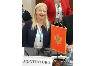 Vesna Daković ponovo izabrana za potpredsjednicu regionalne komisije OIE za Evropu Vesna Daković ponovo izabrana za potpredsjednicu regionalne komisije OIE za Evropu