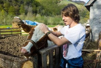 Javna je sramota što smo dozvolili da poljoprivreda trpi nečije političke igrice Javna je sramota što smo dozvolili da poljoprivreda trpi nečije političke igrice