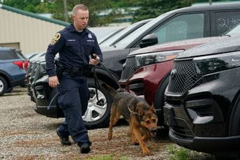 Marihuana legalna, psi tragači idu u penziju Marihuana legalna, psi tragači idu u penziju