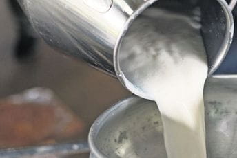 Unija stočara: Vlada i opštine da povećaju premije na mlijeko za 10 centi Ilustracija