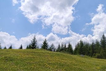 Sjutra pretežno sunčano, do 22 stepena Ilustracija