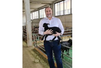 Da, gospodine Stijoviću, treba da im prevežete stoku Da, gospodine Stijoviću, treba da im prevežete stoku