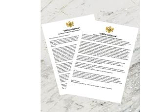 eMDe Alijansa: Tajno sastančenje sa biranom dijasporom eMDe Alijansa: Tajno sastančenje sa biranom dijasporom