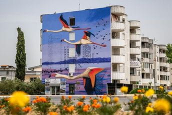 Mural flamingosa na fasadi zgrade u Ulcinju Mural flamingosa na fasadi zgrade u Ulcinju