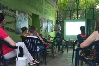 U Crnoj Gori živi 15 vrsta zmija, samo tri otrovnice U Crnoj Gori živi 15 vrsta zmija, samo tri otrovnice