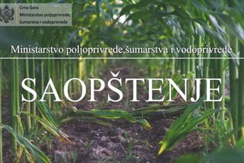 Ministarstvo poljoprivrede: Naporima smo obezbijedili još 210 hiljada eura za mljekarski sektor Ministarstvo poljoprivrede: Naporima smo obezbijedili još 210 hiljada eura za mljekarski sektor