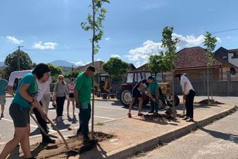 Plato ispred Narodne kuhinje oplemenjen novim sadnicama Plato ispred Narodne kuhinje oplemenjen novim sadnicama
