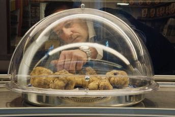 „Lovci na tartufe” otvaraju Motovunski filmski festival Kadar iz filma "Lovci na tartufe"