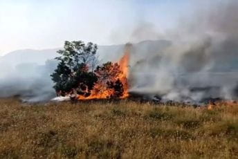 Podgorički vatrogasci za dan intervenisali 19 puta, spasili jednu osobu Podgorički vatrogasci za dan intervenisali 19 puta, spasili jednu osobu