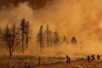 U Kaliforniji izmjerena 54,4 stepena, aktivan veliki broj požara U Kaliforniji izmjerena 54,4 stepena, aktivan veliki broj požara