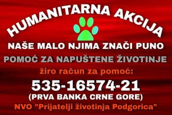 Apel za prikupljanje pomoći za napuštene životinje
