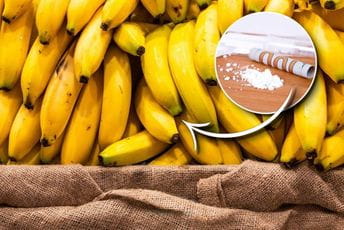 Hrvatska: U prodavnici među bananama pronađen kokain Hrvatska: U prodavnici među bananama pronađen kokain