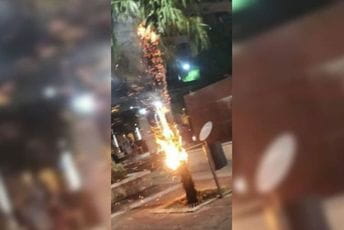 Zapaljena palma u centru PG, Vuković: U toku izuzimanje snimaka