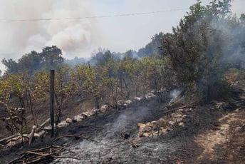 Požar u Piperima: Više ekipa angažovano, gašenje otežano zbog jačine vjetra i nepristupačnog terena