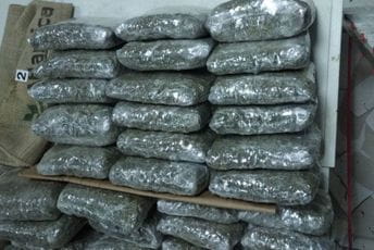 UP: Granična policija spriječila krijumčarenje oko 53 kilograma skanka UP: Granična policija spriječila krijumčarenje oko 53 kilograma skanka