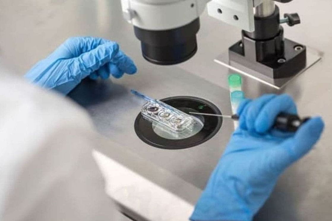 Francuska spremna za hantavirus: Imamo zalihe maski ako izbije epidemija