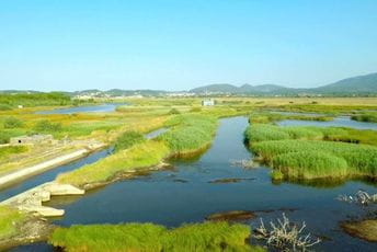 Stečajni upravnik Solane tužiće Vladu Stečajni upravnik Solane tužiće Vladu