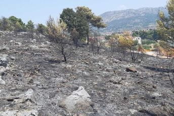 Ministarstvo poljoprivrede pripremilo sadnice za obnovu Gorice Ministarstvo poljoprivrede pripremilo sadnice za obnovu Gorice