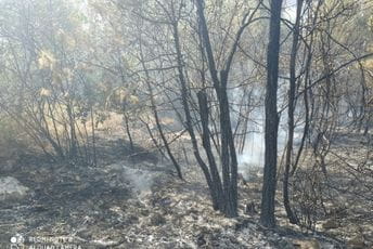 Bukti požar na brdu Gorica, ekipe na terenu Požar na brdu Gorica