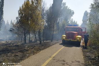 Janković: Požar na Gorici pod kontrolom Janković: Požar na Gorici pod kontrolom