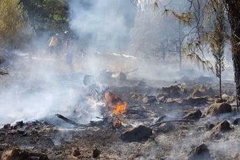 Stati na kraj divljaštvu: Piromane identifikovati i imena saopštiti javno Stati na kraj divljaštvu: Piromane identifikovati i imena saopštiti javno