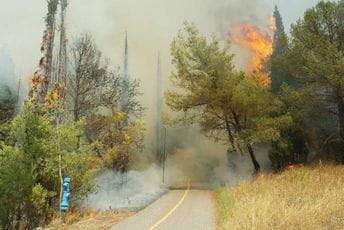 Požar na Gorici gase vatrogasci iz više opština, pomaže i Vojska Crne Gore Požar na Gorici gase vatrogasci iz više opština, pomaže i Vojska Crne Gore