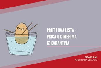 Prut i dva lista - priča o cimerima iz karantina Prut i dva lista - priča o cimerima iz karantina