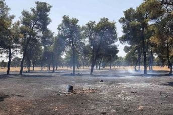 Vatrogasci intervenisali više puta kod Stočne pijace zbog podmetanja požara Vatrogasci intervenisali više puta kod Stočne pijace zbog podmetanja požara