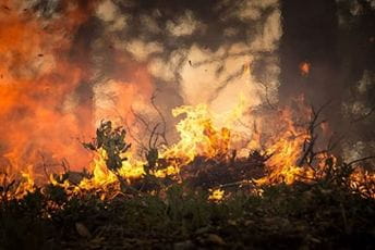 I vojnici gase požar sa vatrogascima u Španiji I vojnici gase požar sa vatrogascima u Španiji