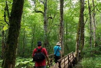NP Biogradska gora zatvoren zbog jakog vjetra NP Biogradska gora zatvoren zbog jakog vjetra