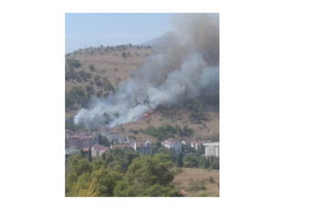 Uspjeli da suzbiju vatru, vjetar otežava gašenje Uspjeli da suzbiju vatru, vjetar otežava gašenje