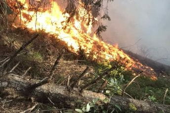Aktivan požar u NP Prokletije, iz Plava nema pomoći Aktivan požar u NP Prokletije, iz Plava nema pomoći