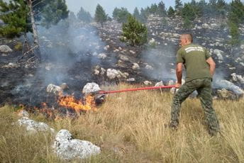 Požar zahvatio područje NP Durmitor Služba zaštite NP Durmitor