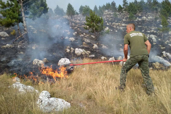 Požar u NP Durmitor i dalje bukti Požar u NP Durmitor i dalje bukti