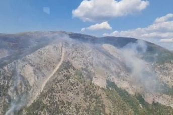 I vatra na planini Bunetina podmetnuta: Požar cijena za pečurke? I vatra na planini Bunetina podmetnuta: Požar cijena za pečurke?