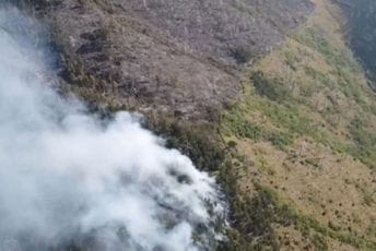 Zbog vjetra širenje požara u kanjonu Tare nepredvidivo Zbog vjetra širenje požara u kanjonu Tare nepredvidivo